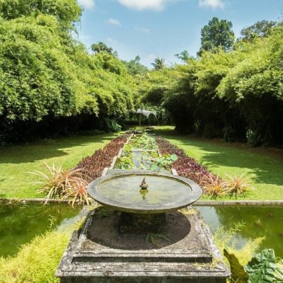 Brief Garden by Bevis Bawa
