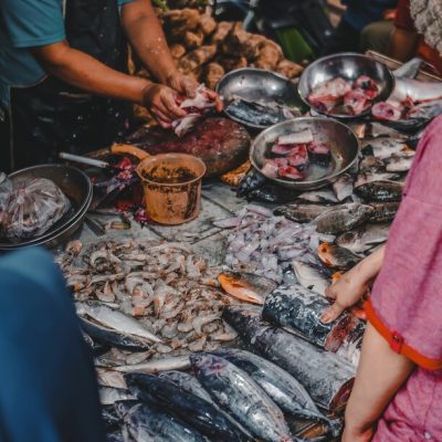 Fish Market