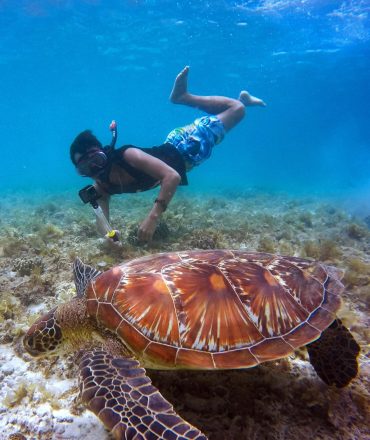 Snorkeling (1)