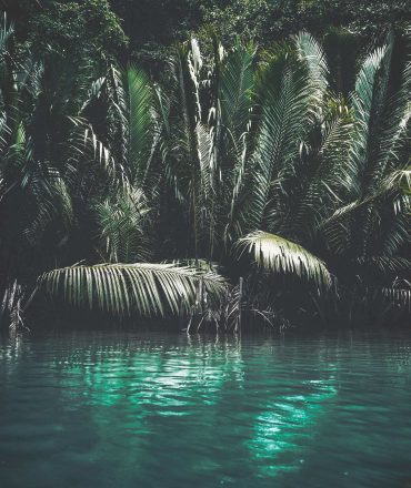 lagoon 02